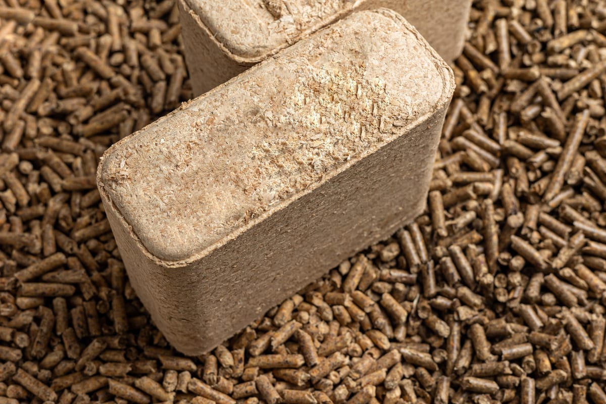 Doua bucati de brichete din rumegus de foc.