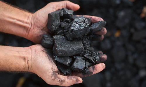 Carbuni gratar tinuti in maini, bucati din lemn de esenta tare, ideali pentru aprindere rapida si ardere constanta la gratar.